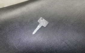 KAWASAKI ELIMINATOR 250 V 2019 VN250A