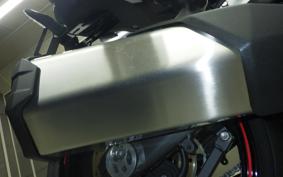 KAWASAKI NINJA 1000SX 2024 ZXT02K