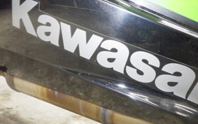 KAWASAKI NINJA 250 2019