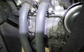 HONDA CBR250RR A 2006 MC51