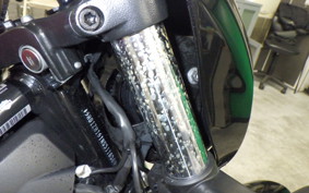 HARLEY RH975 2022