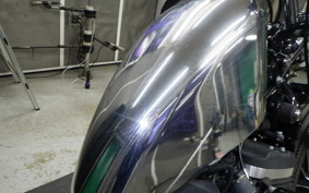 HARLEY XL883N 2015