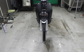 HONDA C110 SUPER CUB 2025 JA10