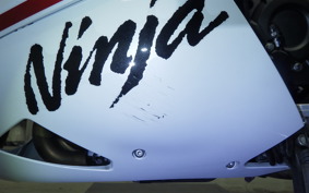 KAWASAKI ZX 1400 NINJA R A 2020