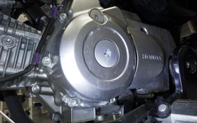 HONDA MONKEY 125 2007 JB03