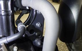 SUZUKI Vｽﾄﾛｰﾑ250SX 2022 EL11L