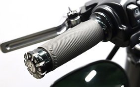 HARLEY XL1200X 2021 LC3