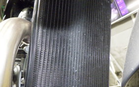 TRIUMPH SPEED 400 2024