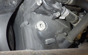 YAMAHA MAXAM 250 SG21J