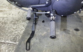 HARLEY XL1200NS 2020