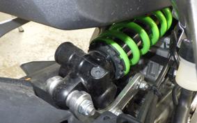 KAWASAKI ZX-4RR 2024 ZX400P
