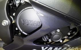 YAMAHA YZF-R15 RG86J