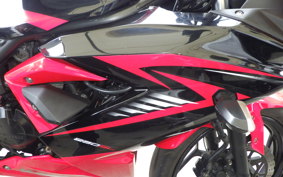 KAWASAKI NINJA 250 SL