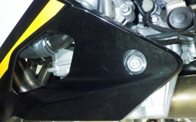 KAWASAKI ZX-4RR 2024 ZX400P