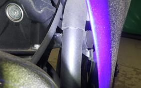 YAMAHA YZF-R25 2024 RG43J