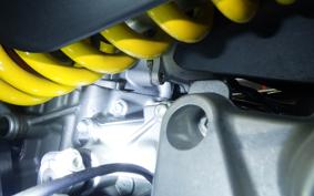 DUCATI PANIGALE V2 2024