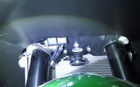 KAWASAKI ZX 1400 NINJA R A 2016