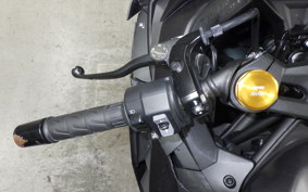 KAWASAKI ZX-4RSE 2025 ZX400P