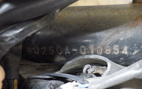KAWASAKI ESTRELLA BJ250A