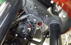 HARLEY FXLRST1920 2024
