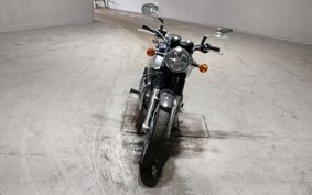 KAWASAKI W800 2019 EJ800B