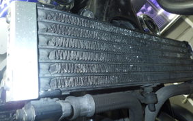 YAMAHA XJR1300 2000 RP03J