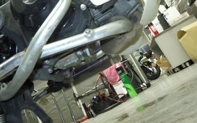 HONDA C50 SUPER CUB 2016 AA01