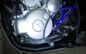 YAMAHA WR250X DG15J
