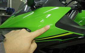 KAWASAKI NINJA 400 2019 EX400G