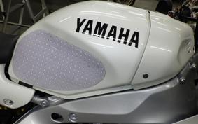 YAMAHA XSR900 GP 2024 RN96J