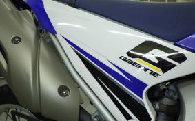 YAMAHA WR250R 2021 DG15J