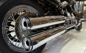HARLEY FXST1340-1450 2020 BVJ
