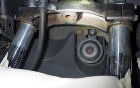SUZUKI SKYWAVE 250 (Burgman 250) S Gen.3 2000 CJ46A