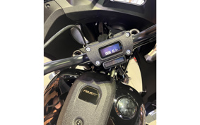 HARLEY FXLRST 2023 YXZ