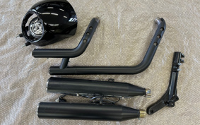 HARLEY FXLRS 2021 YWK