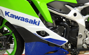 KAWASAKI NINJA ZX-4RR 2024 ZX400P