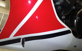 YAMAHA XSR900 GP 2024 RN96J