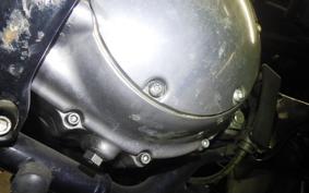 HARLEY XL883LI 2014