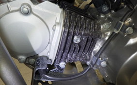 HONDA CT125-2 2021 JA65