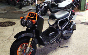HONDA ZUMAR AF58