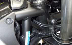 KAWASAKI NINJA H2 SX SE 2019 ZXT02A