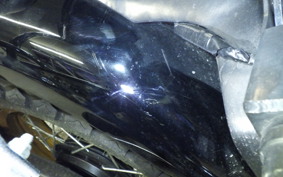KAWASAKI W800 2011 EJ800A