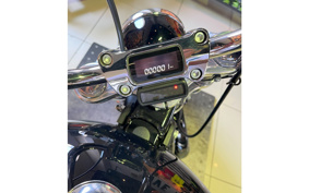 HARLEY FXST1340-1450 2023 BVJ