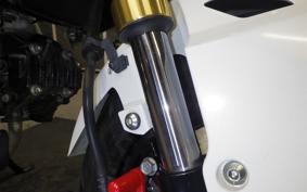 HONDA ｸﾞﾛﾑ 2010 JC61