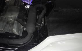 HONDA DIO110-3ﾍﾞｰｼｯｸ 2024 JK03