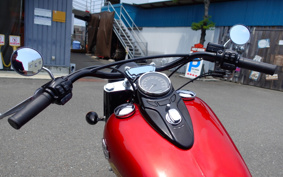 HARLEY FLS 2012 JR5