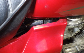 KAWASAKI Z250 Limited 2025 KZ250H