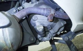 HONDA FORESIGHT EX MF04
