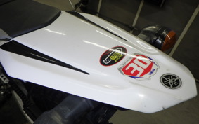 YAMAHA WR250R 2021 DG15J