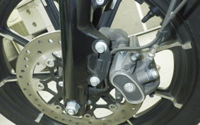 HARLEY XL883N 2017